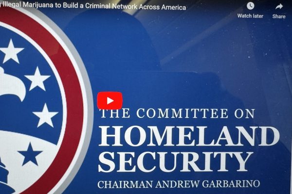 U.S. Congressional Hearing Focuses on China-Linked Illegal Marijuana Farms, Chinese American Community Fears Stigmatization